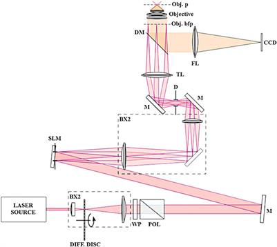 Dynamics of mitochondrial membranes under photo-oxidative stress with high spatiotemporal resolution